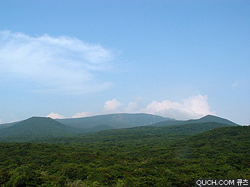 제주도 관광정보'