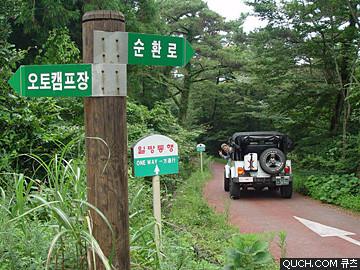 제주도 관광정보'